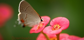 电话轰炸在线免费